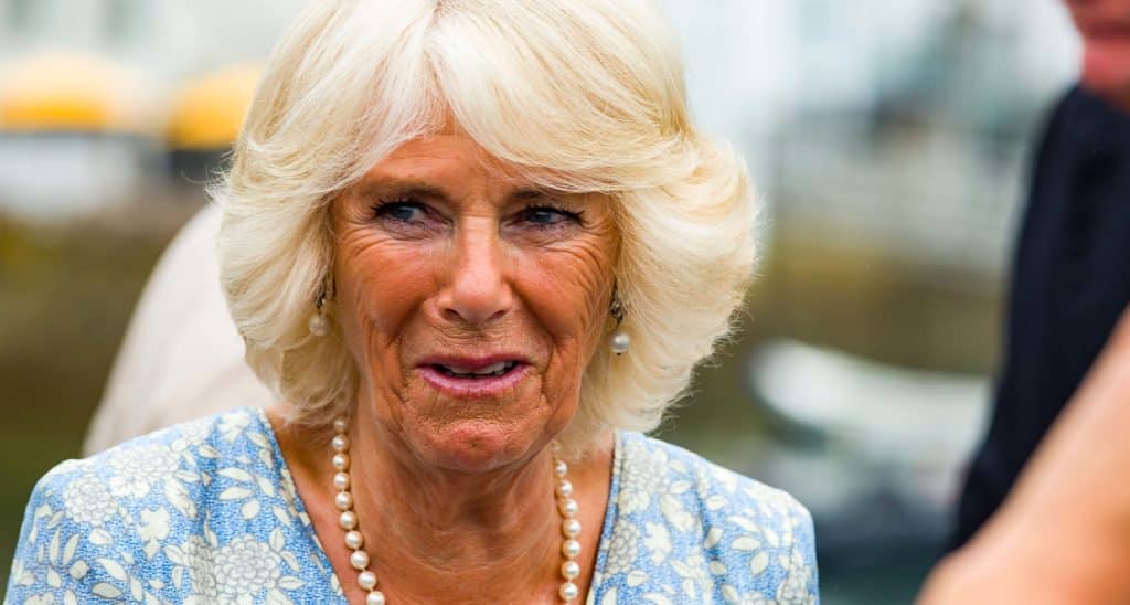 Queen Camilla’s major health update after chest infection