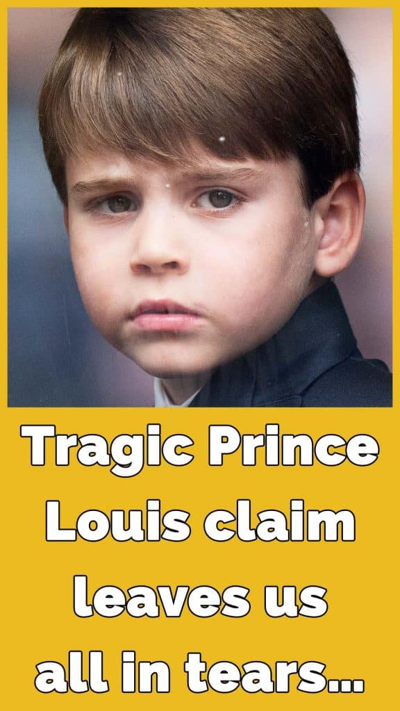 Prince Louis is ‘likely asking questions’ about Prince Harry
