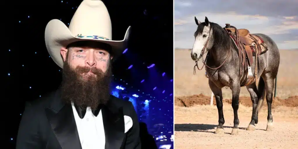Post Malone’s New “Destiny” Horse Ashtray Sparks Excitement and Speculation of a Ranch Life