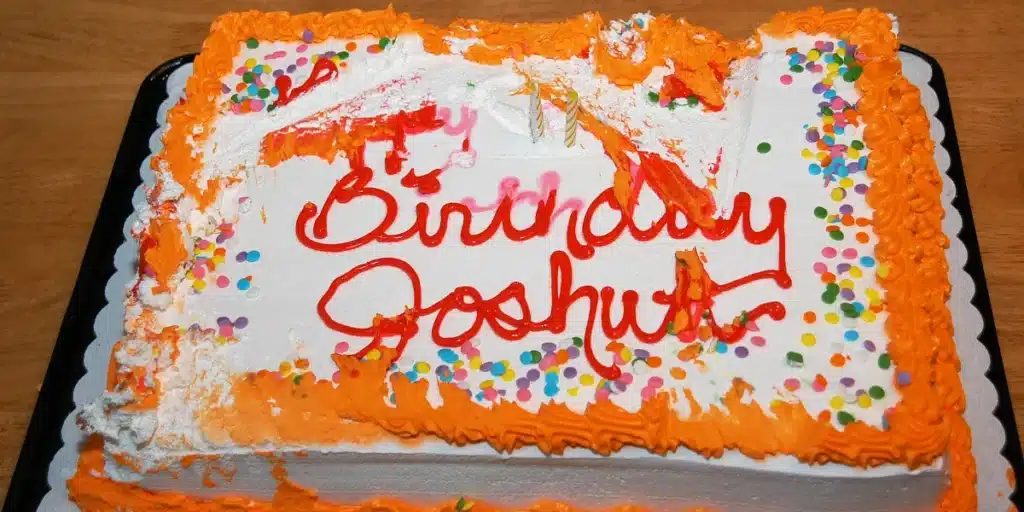 I Baked a Cake for My Daughter’s 9th Birthday – My Little Girl Found It Destroyed on Her Celebration Day