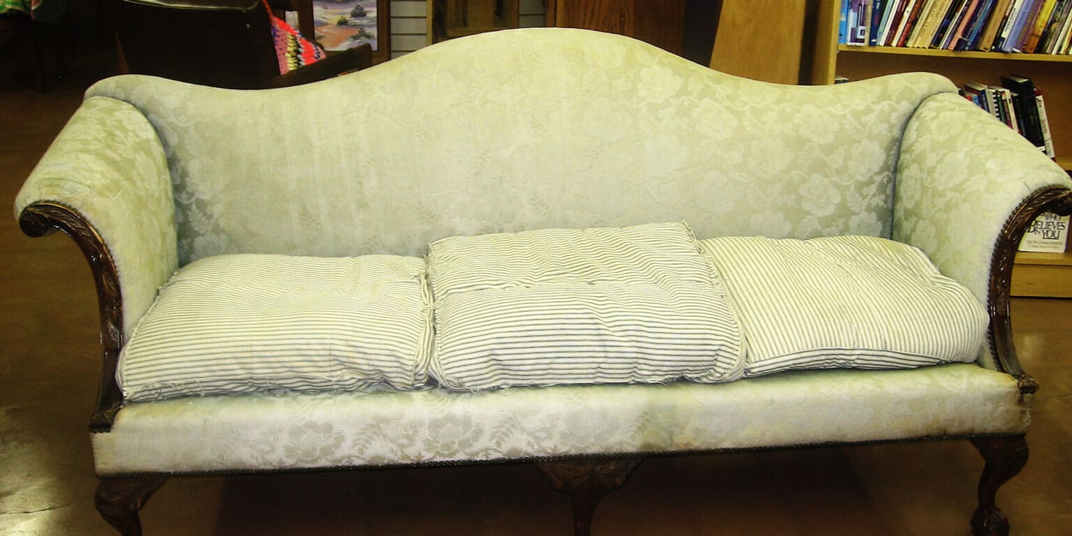 My Sister Wanted $3,700 After My Son Ruined Her Vintage Sofa, Until an Unexpected Call Exposed the Truth