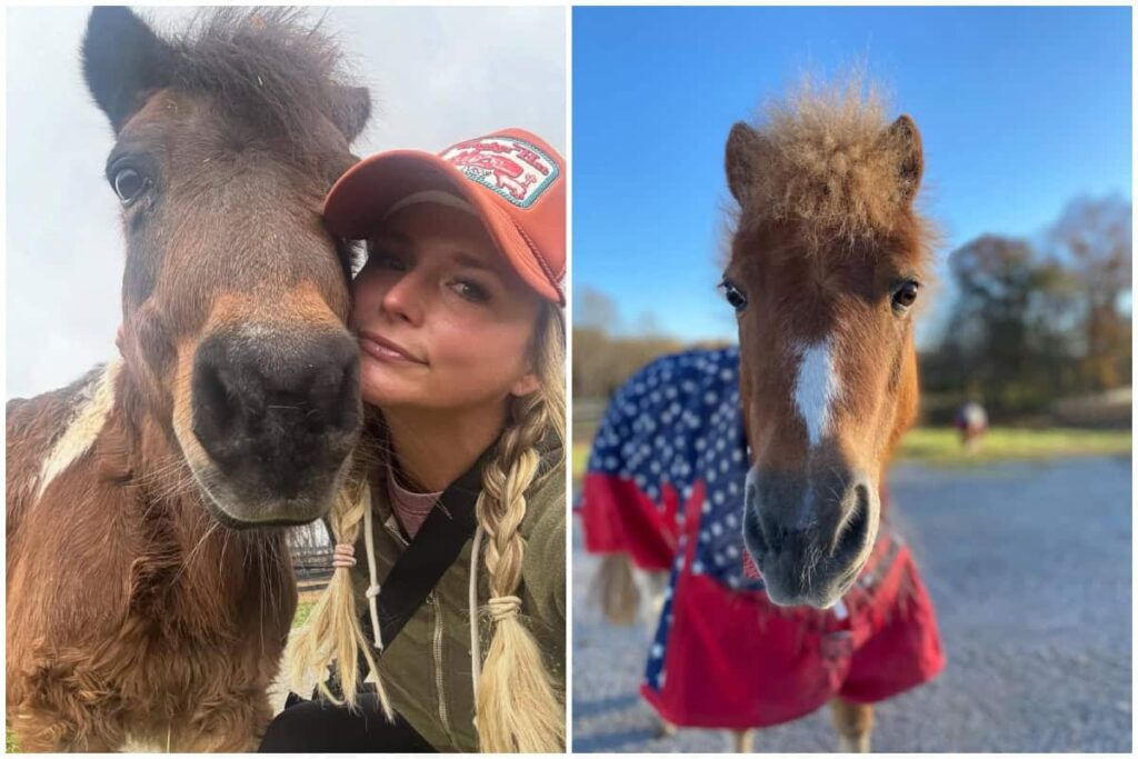 Miranda Lambert Heartbroken After Losing Beloved Mini Horses Sugar Pie and Adrianna