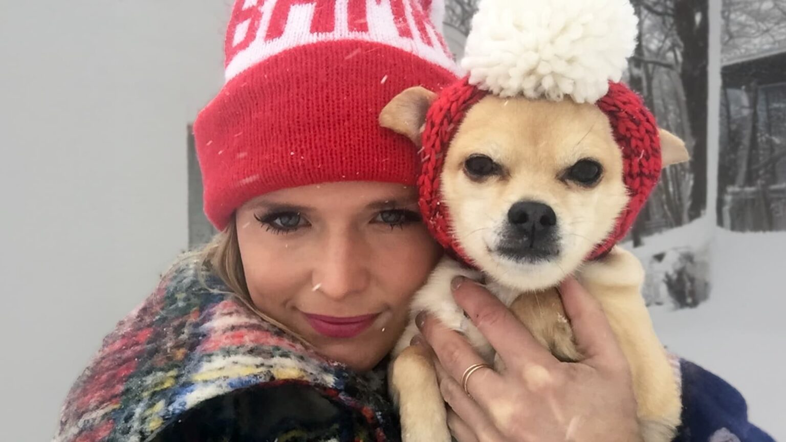 Miranda Lambert Says Goodbye to Cher, the Chihuahua Who Spent 15 Years by Her Side