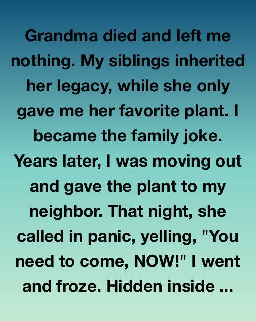 The Potted Puzzle: How a Spindly Houseplant Outlasted a Family Fortune