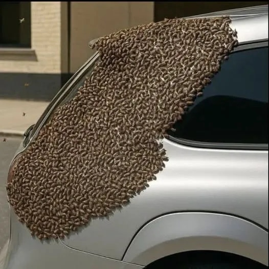 The Guardian of the Swarm: Understanding the Peaceful Nature of Honeybee Relocation