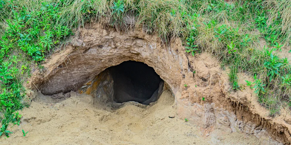 My Neighbor Dug Holes in His Backyard Every Weekend – Then the Police Suddenly Arrived One Morning