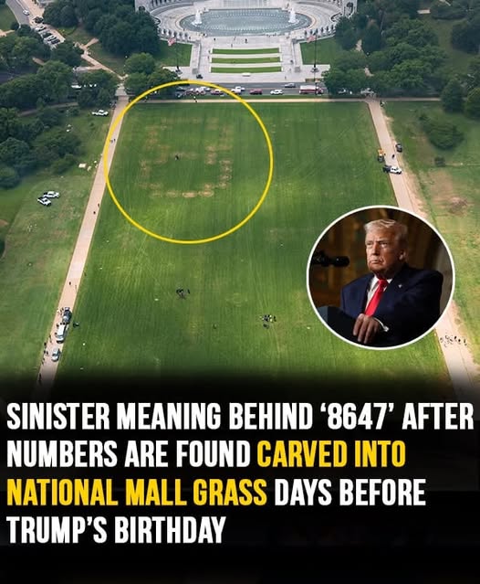 Sinister meaning behind ‘8647’ message after numbers are found carved into National Mall grass