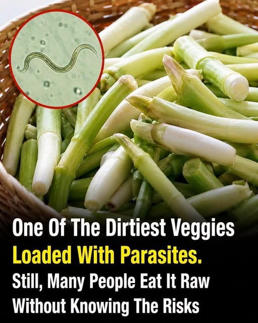 Understanding Food Safety Risks and Best Practices for Handling Raw Green Onions at Home