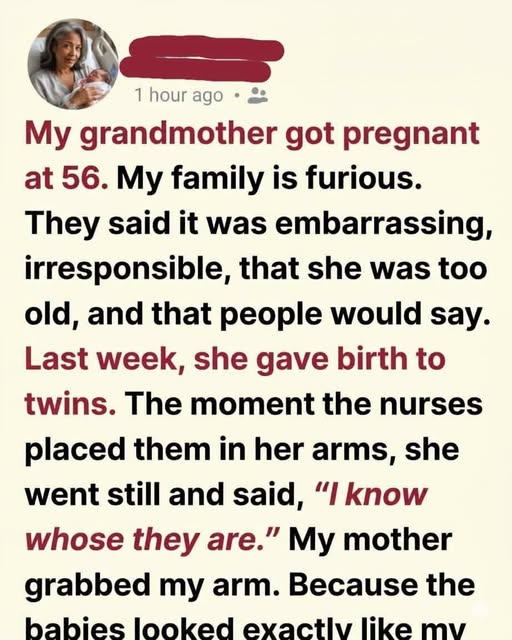 A Grandmother’s Choice: How Two New Lives Healed a Fractured Family After Years of Silence