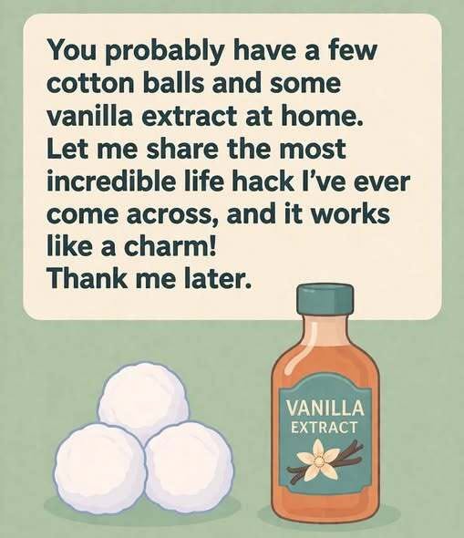 Using vanilla is an easy, natural way to keep your fridge fresh. Apply a few drops to a cotton ball, place it inside, and it will absorb odors while leaving a gentle, pleasant scent without using harsh chemicals.
