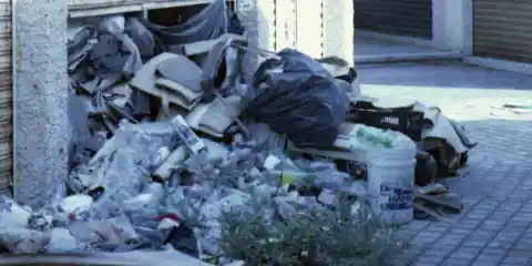Every Morning, My Neighbor Takes Out Bags of Trash – When I Found Out Where It Came From, I Couldn’t Look at Her the Same Way Again