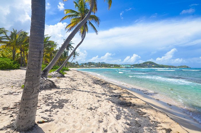 My Husband Took His Entire Family on Vacation Without Me Again – So I Let Them Enjoy Their Vacation…Until the Final Night