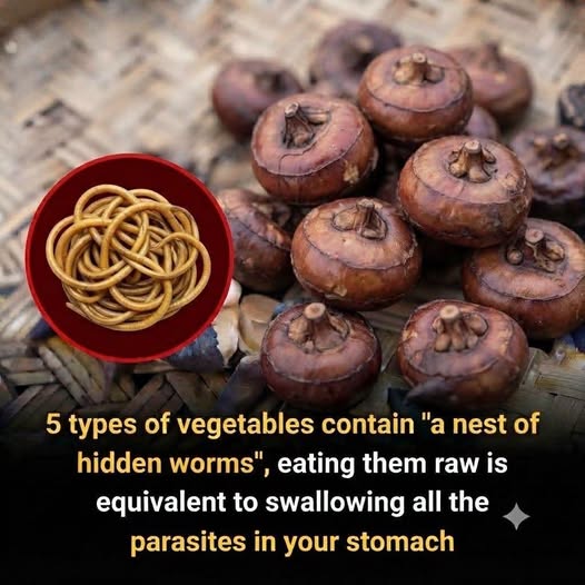 Essential Guidelines for Safely Preparing and Storing Raw Vegetables for Your Kitchen
