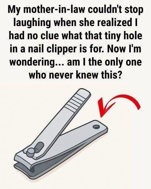 Uncovering the Real Purpose Behind the Small Hole Found on Standard Nail Clippers