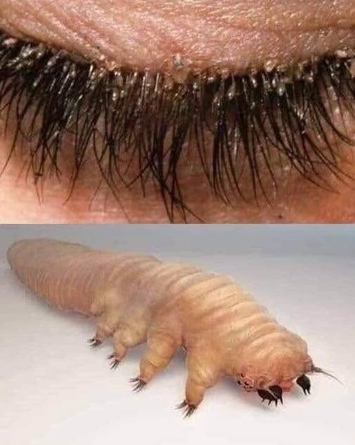 These are the consequences of sleeping with the… See more