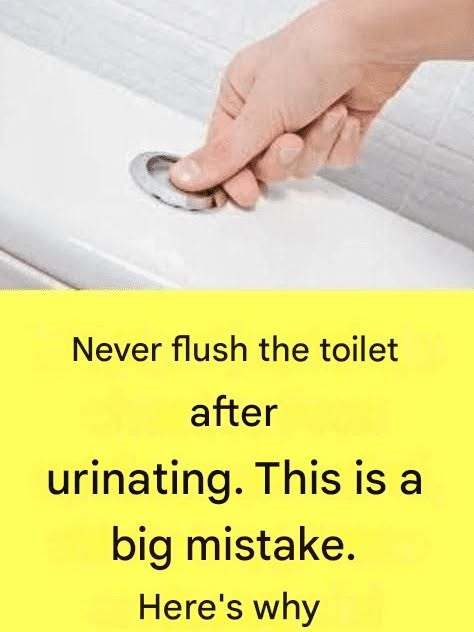 Why is it so important not to flush the toilet after every trip to the toilet to urinate?