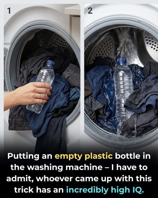 Evaluating the Practice of Placing Plastic Bottles in Washing Machine Drums for Laundry Efficiency
