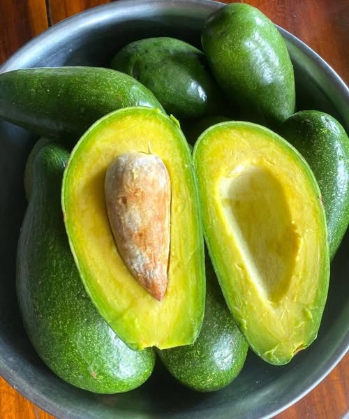 The Nutritional Profile of Avocados and Their Role in Supporting Long-Term Human Health and Wellness