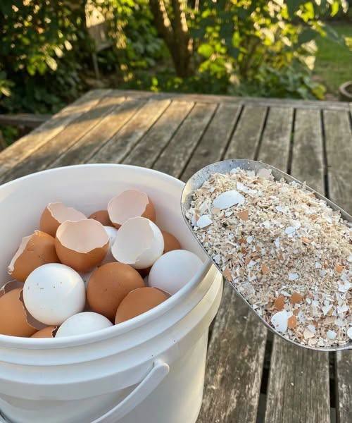 Boiling Eggshells: How to Use Them for Gardening, Cleaning, and More