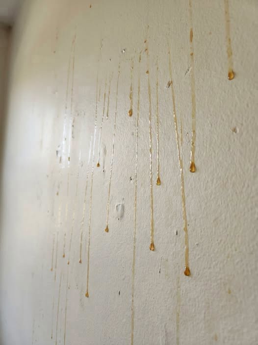 Understanding and Addressing Mysterious Yellow Streaks on Your Bathroom Walls