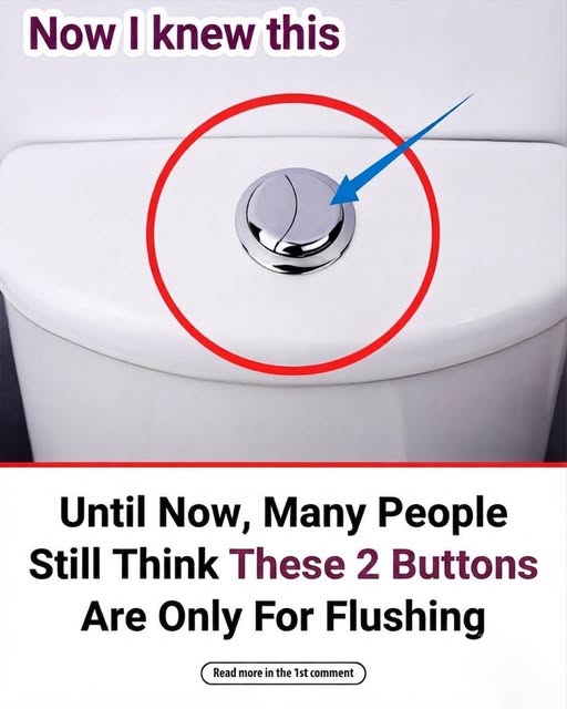 Mastering Your Dual-Flush Toilet: Why Choosing the Right Button Matters for Your Home and Environment