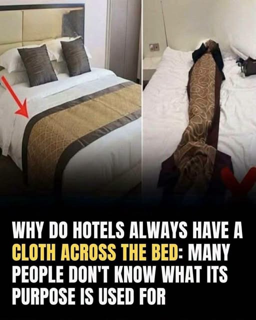 Uncovering the Functional and Aesthetic Roles of the Decorative Bed Runner Found in Hotel Rooms