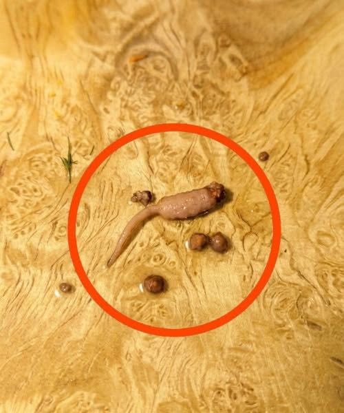 Understanding Connective Tissue in Ground Beef to Avoid Unnecessary Kitchen Anxiety and Food Waste