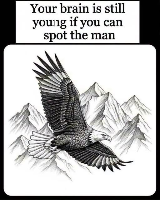 Can You Spot the Hidden Figure in This Eagle Illusion?