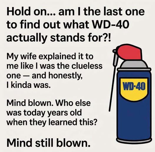 The Cold War Origins of the World’s Most Famous Household Lubricant