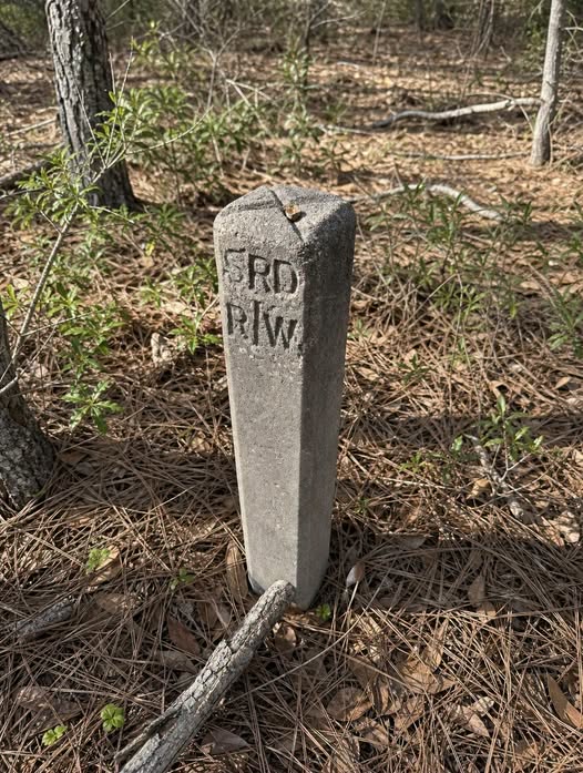 The Silent Sentinels: Decoding the Concrete Markers Hidden Within Our Forests and Old Roadbeds