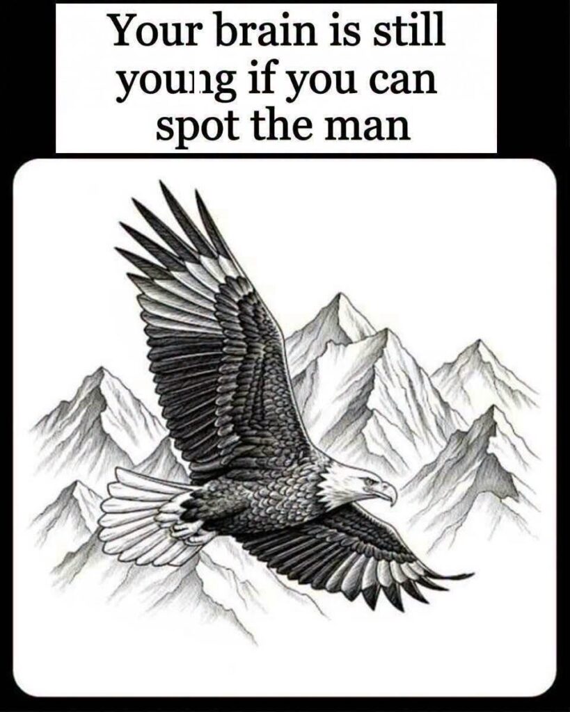 Can You Spot the Hidden Figure in This Eagle Illusion?