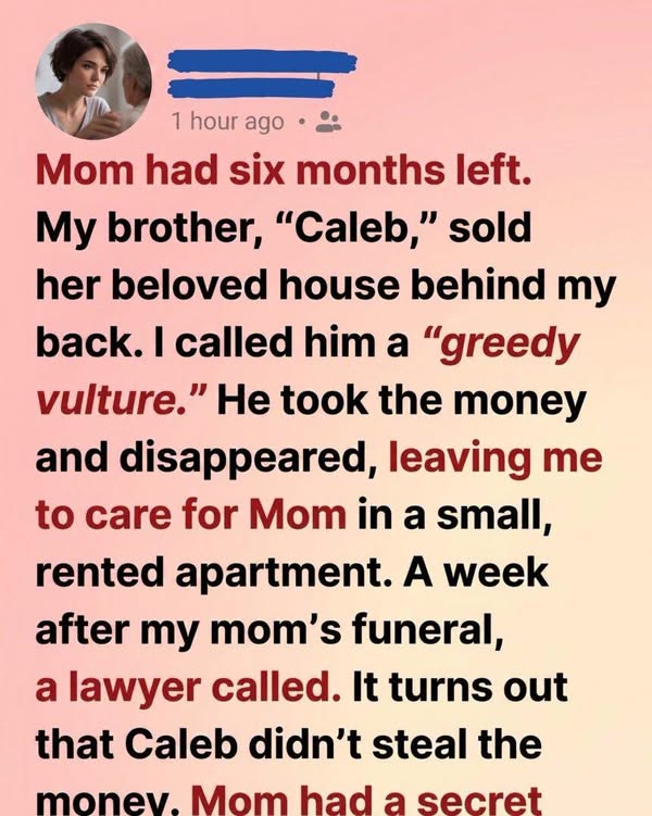 She Called Her Brother a Vulture—Then Learned What He Sacrificed