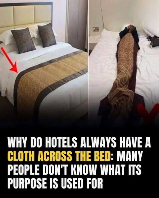 Understanding the Functional and Aesthetic Role of the Decorative Bed Runner in Modern Hotel Rooms