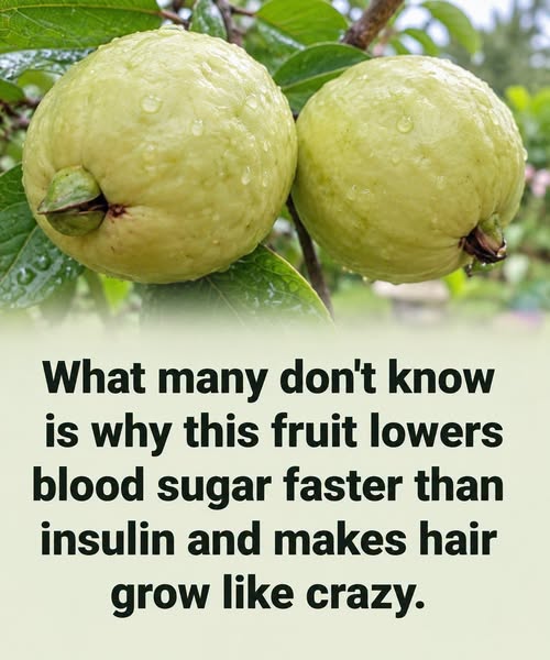 Understanding the Role of Guava in Supporting Healthy Blood Sugar Management