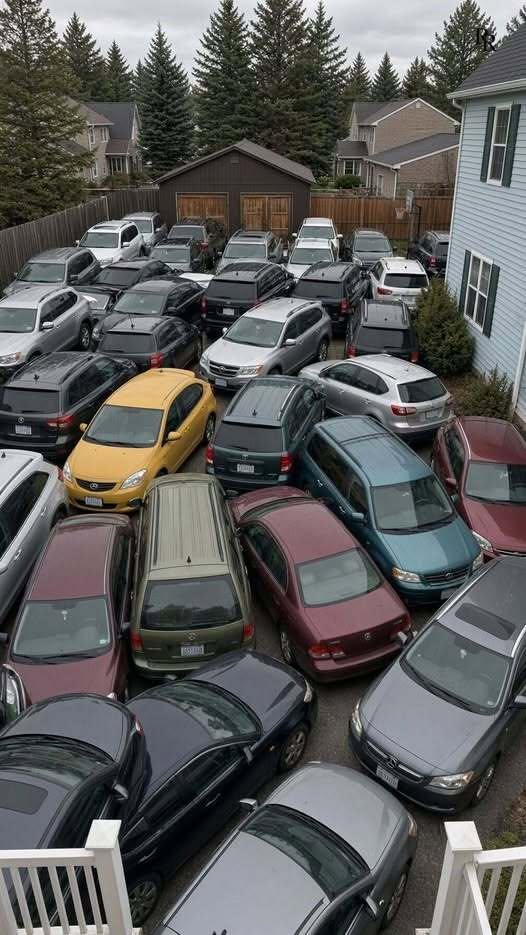 She Told Me I Hardly Used The Space Anyway, Which Was True, And Also Not The Point She Thought It Was