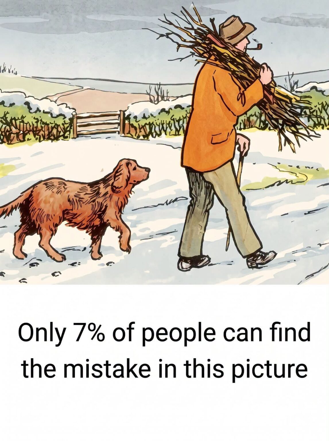 Can You Spot the Mistake in This Snowy Scene