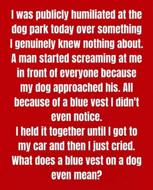 Why Some Dogs Wear Blue Vests, Bandanas, or Leashes
