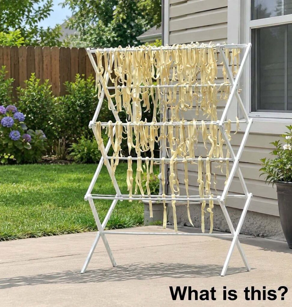 The Sun-Dried Mystery: How Homemade Pasta Turned an Ordinary Backyard Into a Neighborhood Puzzle