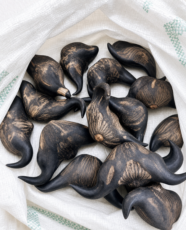 Strange Horned Fruit From a Neighbor Turns Out to Be a Water Caltrop